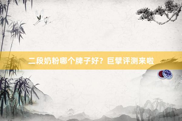 二段奶粉哪个牌子好？巨擘评测来啦
