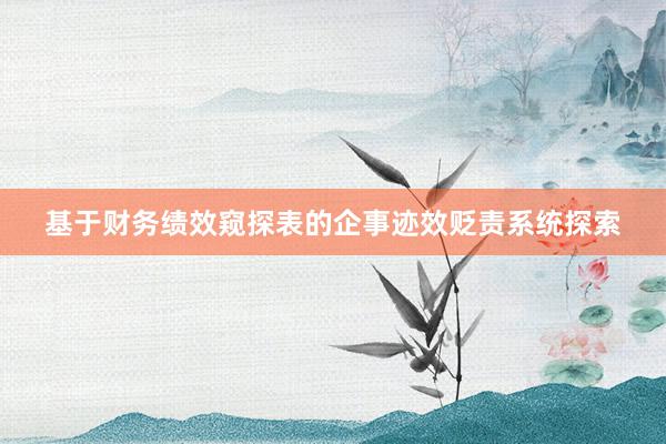 基于财务绩效窥探表的企事迹效贬责系统探索